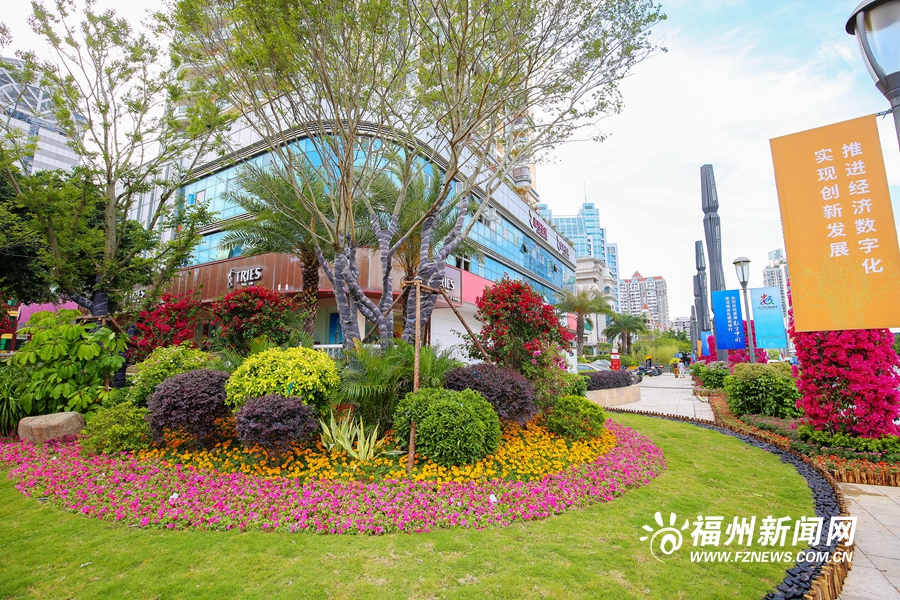 福州街头花团锦簇　喜迎数字中国建设峰会